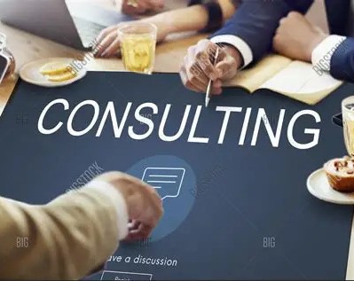 Public Consultancy & Advisory Services
